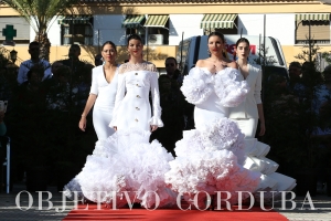 Colección de Rafael Valverde en el Carpio (Córdoba )